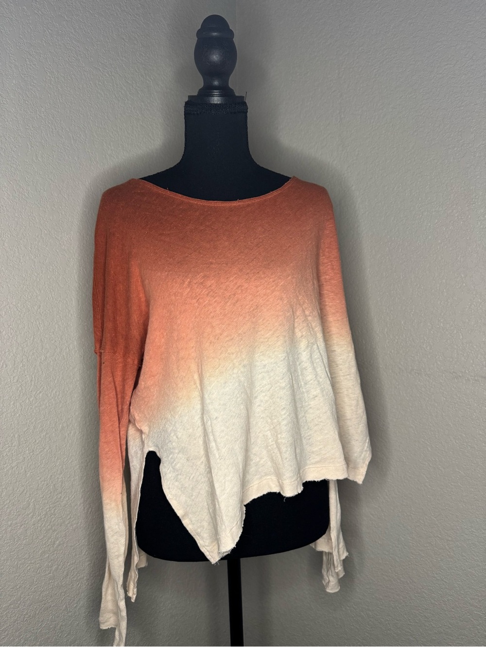 We The Free Ombre Boatneck Long Sleeve Top